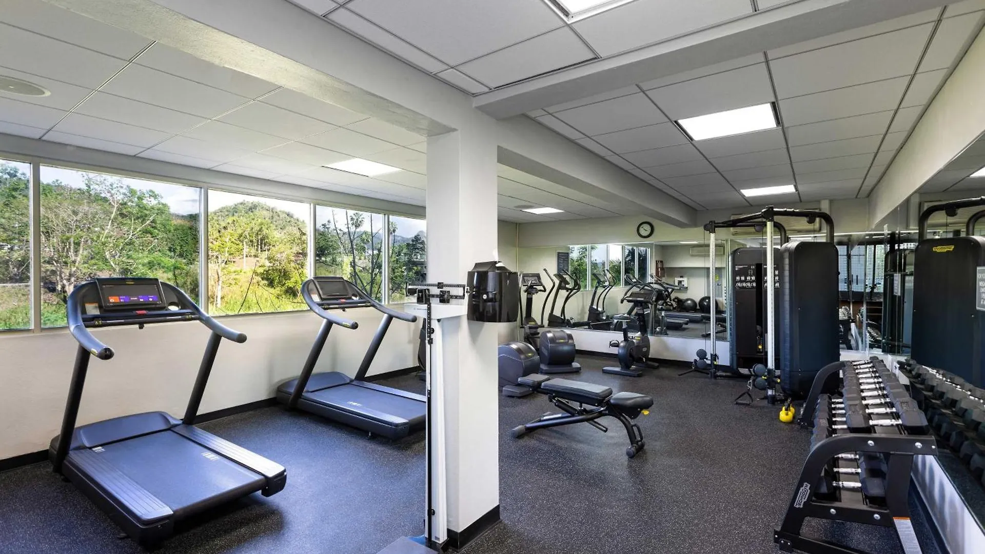 Otel Four Points By Sheraton Caguas Real
